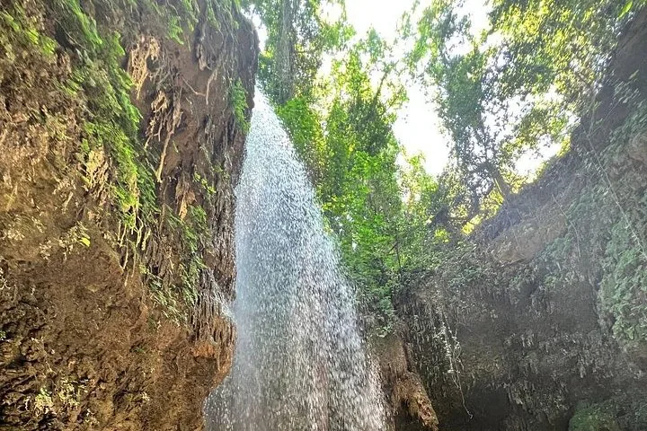 Waterfall cascading down rocky cliffs surrounded by lush green trees